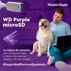 Cod. 312 Micro SD Western Digital WD Purple QD101 / 32GB / P/Videovigilancia / Clase 10 U1 / Ultra resistencia (hasta 16TBW) - 3
