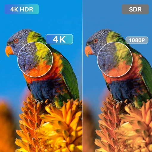 Cod. 120 Smart TV RCA 65&quot; 4K Ultra HD HDR / Google TV  / 3*HDMI, 2*USB / Wi-FI 5 / Chromecast / Dolby Audio / Control remoto por voz