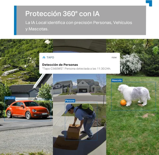 Cod. 405 C&aacute;mara Smart TP-Link Tapo C560WS, Wi-Fi 6 P/Exterior IP66, 360&ordm;, 4K Ultra HD (8MP) / Reconocimiento Facial IA / Zoom Digital 18&times; / Detecci&oacute;n &amp; Seg. autom&aacute;tico AI (pers. masc. veh.) / Visi&oacute;n nocturna Color Starlight / Alarma Luz/Sonido / Audio bid