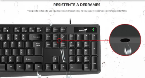 Cod. G:194 Teclado Genius KB-117 / USB / Clásico / Resistente a salpicaduras / Teclas Cóncavas / Cable 1.5 mt. / Español / Negro